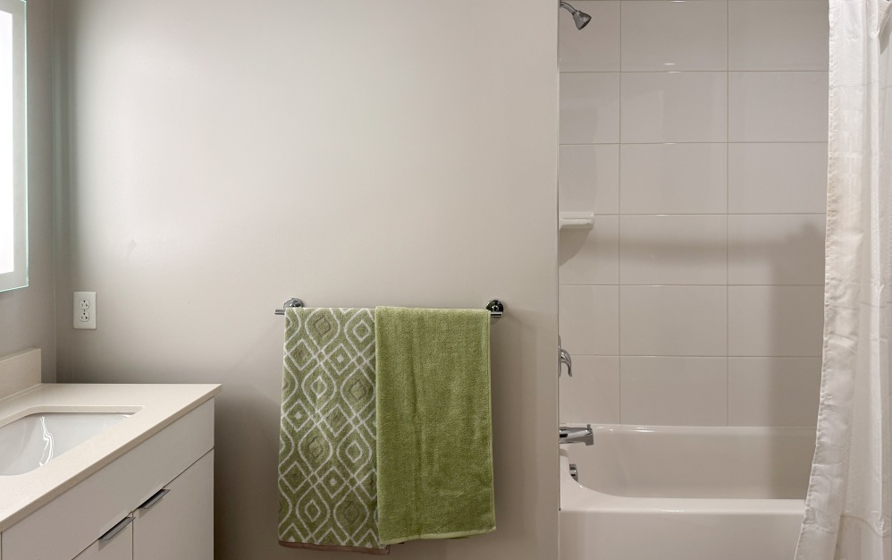 Van Gogh - 2 bedroom floorplan layout with 1 bathroom and 850 square feet (Bathroom w/Tub)